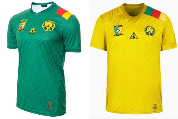 WK 2022 shirt Kameroen